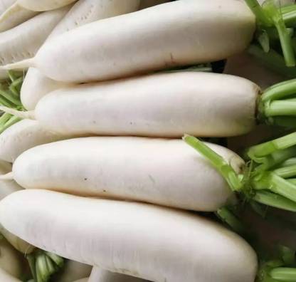 VINTI (Mooli) Vegetable (मूली के बीज) Seed