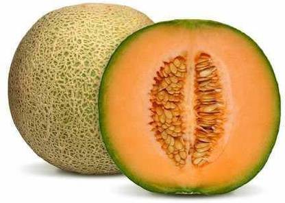 CYBEXIS PUAS-26 - Yellow Shamam - Musk Melon - (1350 Seeds) Seed