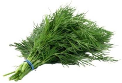 Mozette Organic soya dill Seed