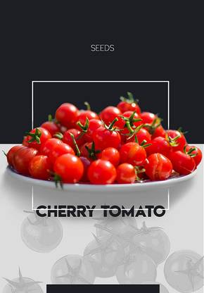 WILLVINE Strawberry Cherry Tomato Hybrid Seeds-(3200 Seeds) Seed