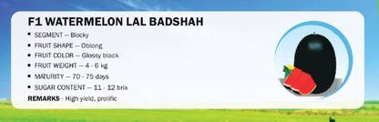 VibeX F1 WATERMELON LAL BADSHAH(1000 Seeds) Seed