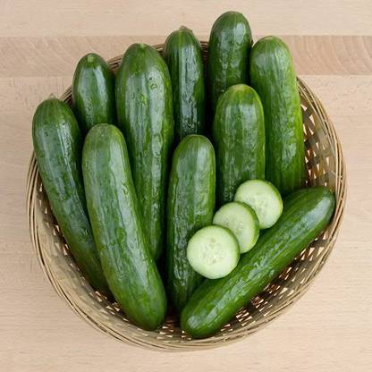 CEZIUS Plant Seeds For Home Gardening MANNY F1 CUCUMBER Seed