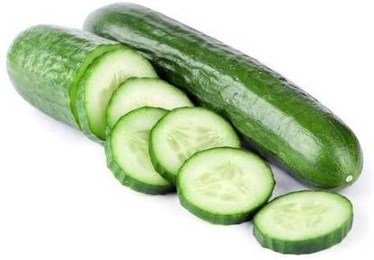 Avysa Long Green Improved Cucumber Seeds-CuC_1321 Seed