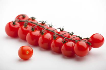Avysa SUPERSWEET TOMATO Seed