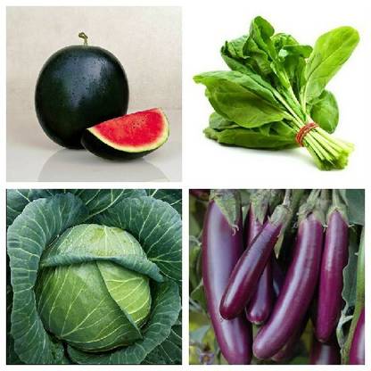 R-DRoz Watermelon Dark Green, Spinach Green, Cabbage & Brinjal Purple Long Seed