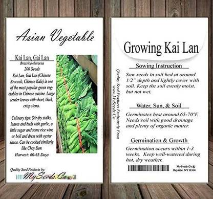 VibeX ® XLR-392 Chinese Broccoli, Kailan GAI LAN Seeds Seed