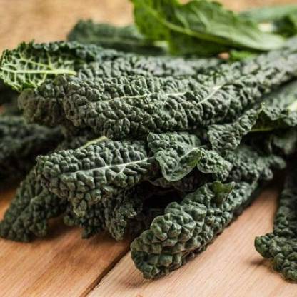 CYBEXIS Curly Kale Vegetable Seeds500 Seeds Seed