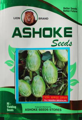 ASHOKE Seeds Brinjal Seeds Egg Plant Brinjal Seeds Tili Makra Brinjal Seeds High Yielding Seed