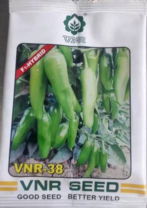 सागर VNR-38 मिर्च सीड (10 gm) बीज