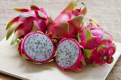Oliver imported dragon fruit seeds Seed