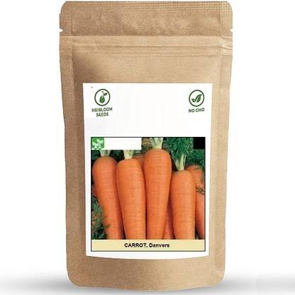 Biosnyg Danvers Carrot-[250 Seeds] Seed