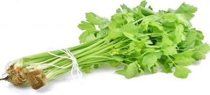 VibeX PAU-28 - Nan Ling Celery - (250 Seeds) Seed