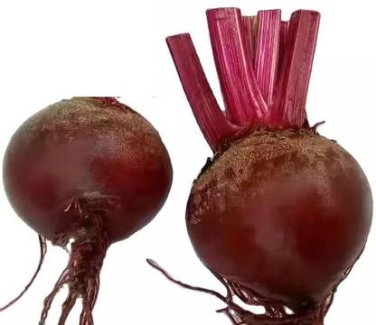 Avysa Vegetable Beet seeds, Organic Beetroot Seed