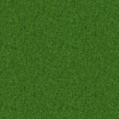 SREE Grass Seeds for Garden/Park/Playground, Lawn Grass Seed