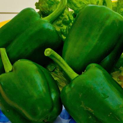 Aywal HYBRID SEEDS CAPSICUM, GREEN SHIMLA MIRCH Seed