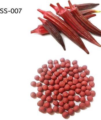 shantiseeds Red Okra (Lady Finger) Hybrid Seed