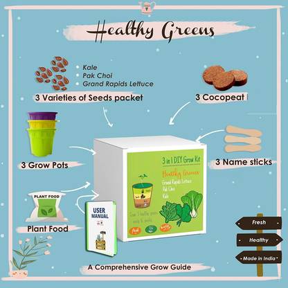 VibeX Kale, Pak Choi, Grand Rapids Lettuce- A Complete Beginner Gardening Set Seed