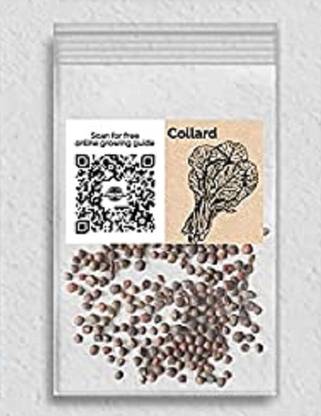 Biosnyg IAIR-8 Collard-[200 Seeds] Seed