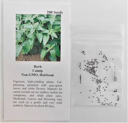 VibeX NDIR-17 - Catnip (Nepeta cataria) - (4500 Seeds) Seed