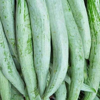 Aywal High Yield Rare Hybrid" Snake Gourd" Chachinda Pudalangai Vegetable Seed