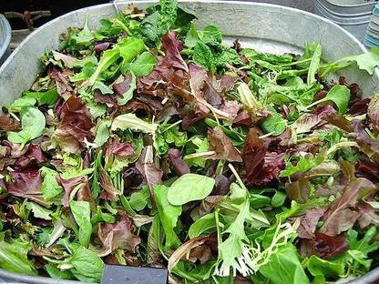 VibeX ® VXI-838 This is a Mix!Microgreens Mix 40 Varieties Seed