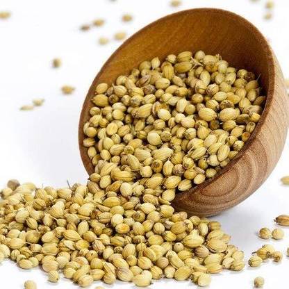 BJUBAS Coriander seeds for planting Seed
