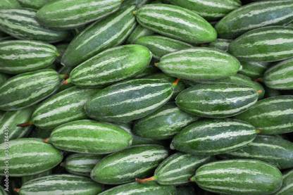 Arshiayat Desi Parwal Seeds,Hybrid Pointed Gourd-Potol Organic Vegetable seeds For Farming Seed