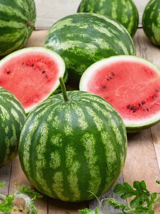 EMKOT Watermelon Cal Sweet Bush Seed