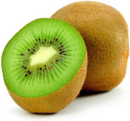 ActrovaX Baby Kiwi (Actinidia arguta)Rare Fruit Tree [1600 Seeds] Seed