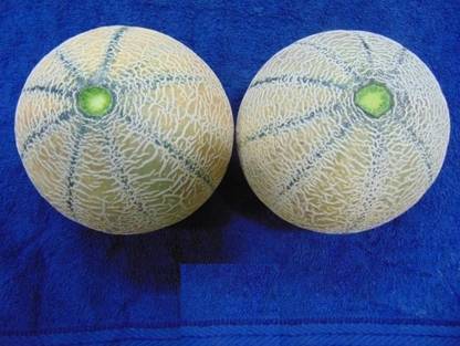 WILLVINE VVI-175 Muskmelon high yielding variety, Arka Siri Seed