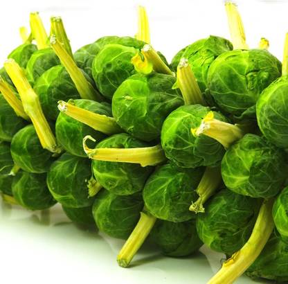 WILLVINE HUA -V Catskill Brussel Sprout Seeds [25g] Seed