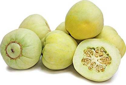 WILLVINE PAU-352 Premium Quality Sakata's Sweet Melon Seed