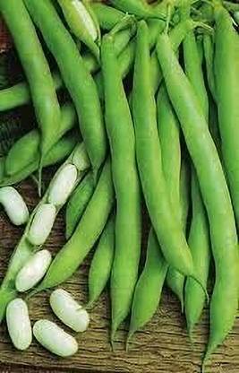 Aywal Vegetable Seeds French Beans Seed