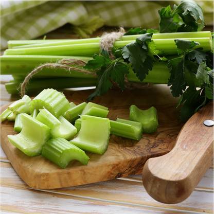 VibeX HUA-65 - Utah 52-70 Celery - (750 Seeds) Seed
