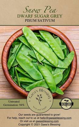 VibeX HUA-31 - Snow Pea - (100 Seeds) Seed