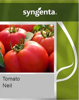 TRICONE SYNGENTA Neil Tomato Hybrid Organic 10 Gram Seeds Seed