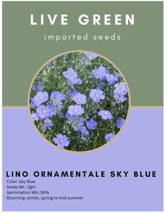 Udanta Live Green Imported Seed- Lino Ornamental Sky Blue Flower Seeds Seed