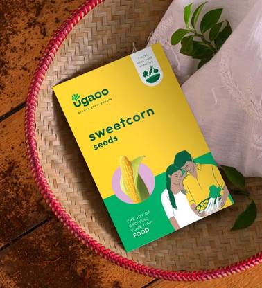 UGAOO Sweetcorn Yellow Seed