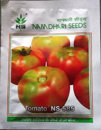 Namdhari Seeds Tomato, NS 585 - 10 gm Seed