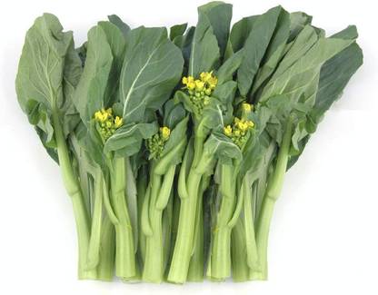 VibeX ® VLR-280 Yu Choy Sum Chinese Mustard Seed