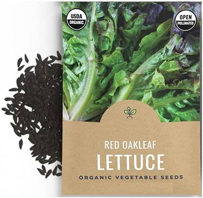 VibeX LX-13 - Red Oakleaf Lettuce - (150 Seeds) Seed