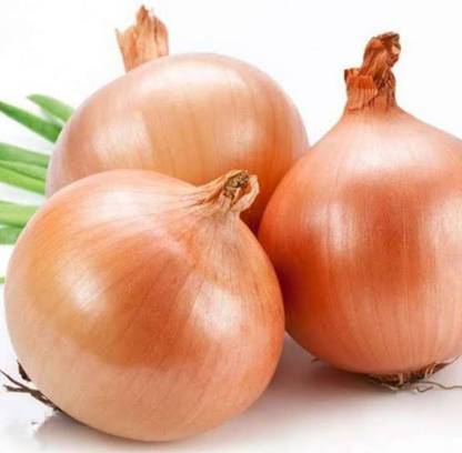 Desi onion seeds 500g, highest yield Verity early fruiting very tasty Seed