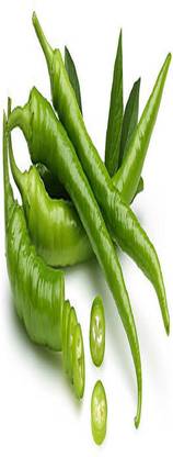 PODHA chilli (mirchi) Seed