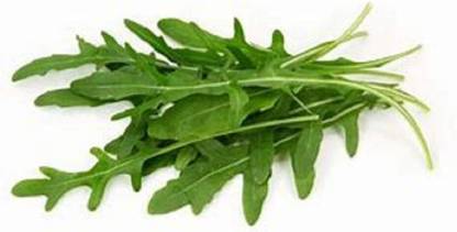 KNESSiN Arugula Roquette Greens, Heirloom, Crisp[400 Seeds] Seed