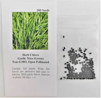 Qualtivate RES-6A Chives Garlic Nira (Green) Seed