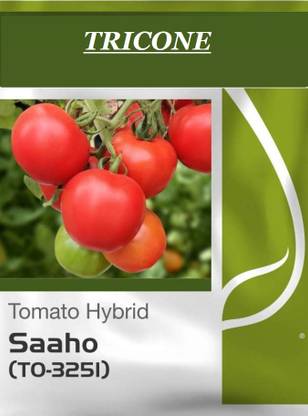 TRICONE Hybrid Tomato Saaho (To-3251) Tamatar Seeds 10 Gram Seeds Seed