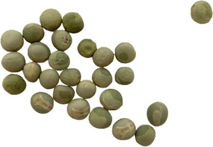 KNESSiN DLH-79 Pea Seed