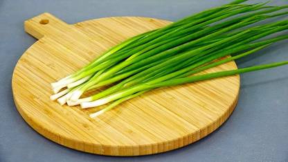 WILLVINE AMR -I Bunching Green Onions Scallions [100g] Seed