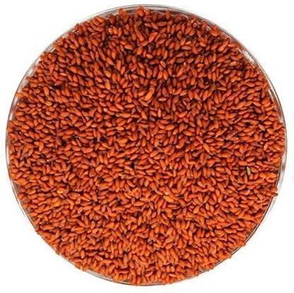 Ajay Spices Asaliya Seeds | Aliv Seeds | Garden Cress | Haleem Seeds. Seed