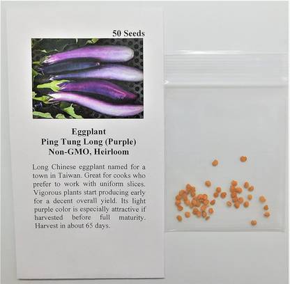VibeX ® XXL-777 Brinjal Ping Tung Long (Purple) Seed